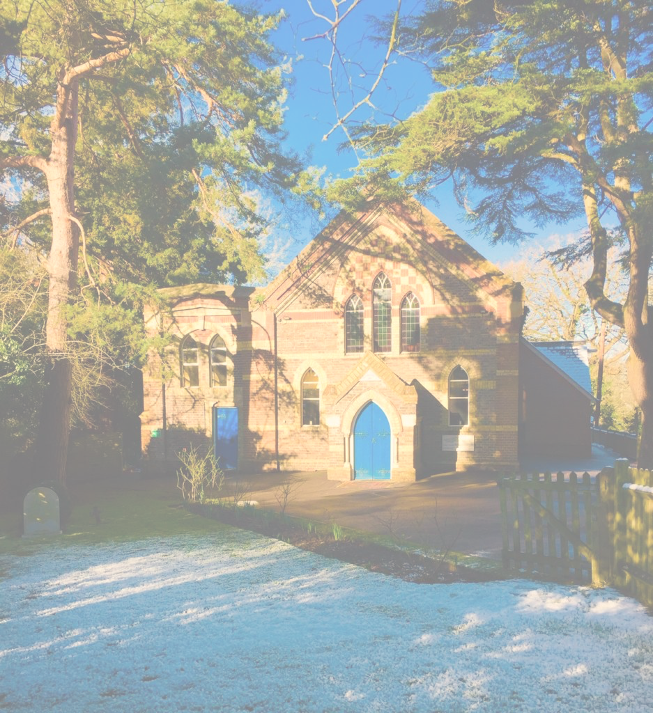 BETHANY SCHOOL / 贝瑟尼学校