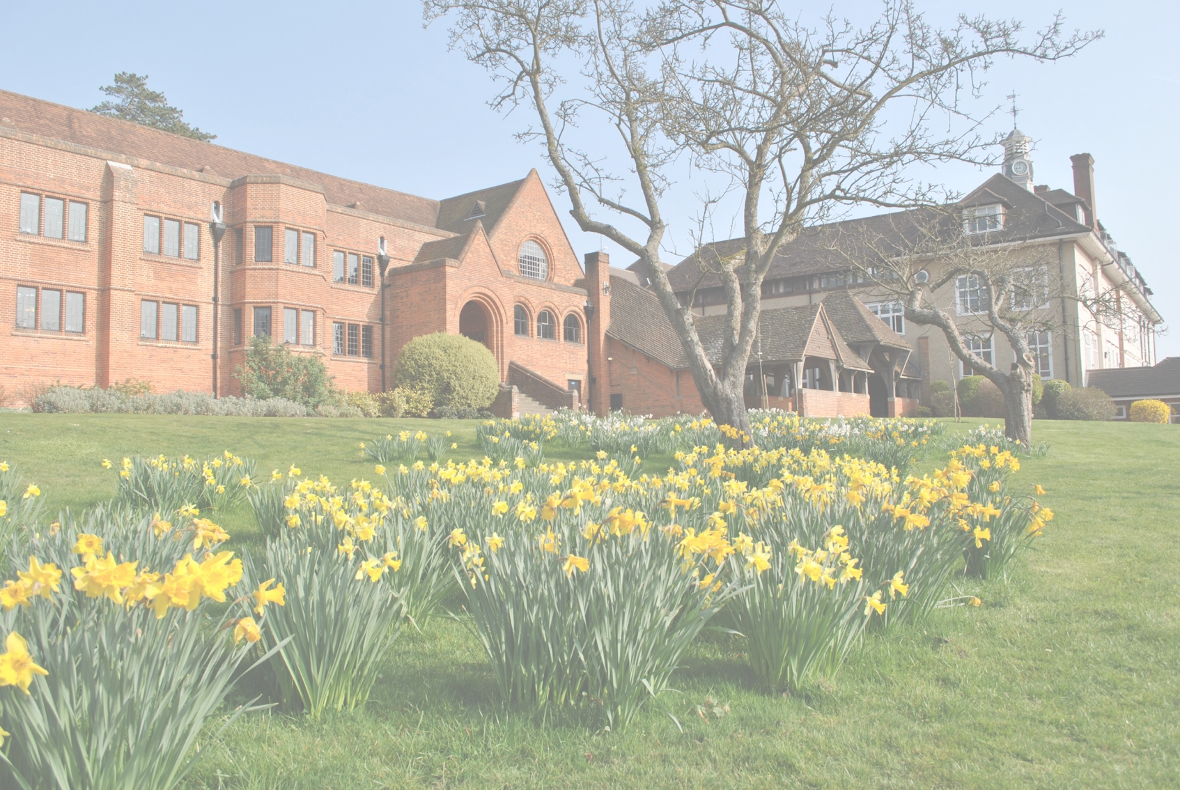 BEDALES SCHOOL / 彼得莱斯学校